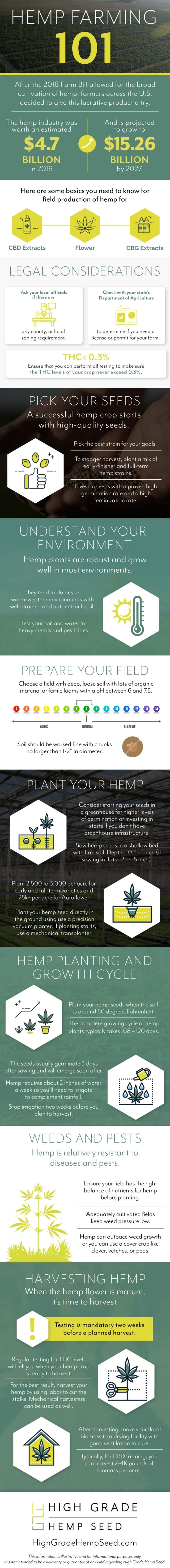 Hemp Farming 101 Infographic