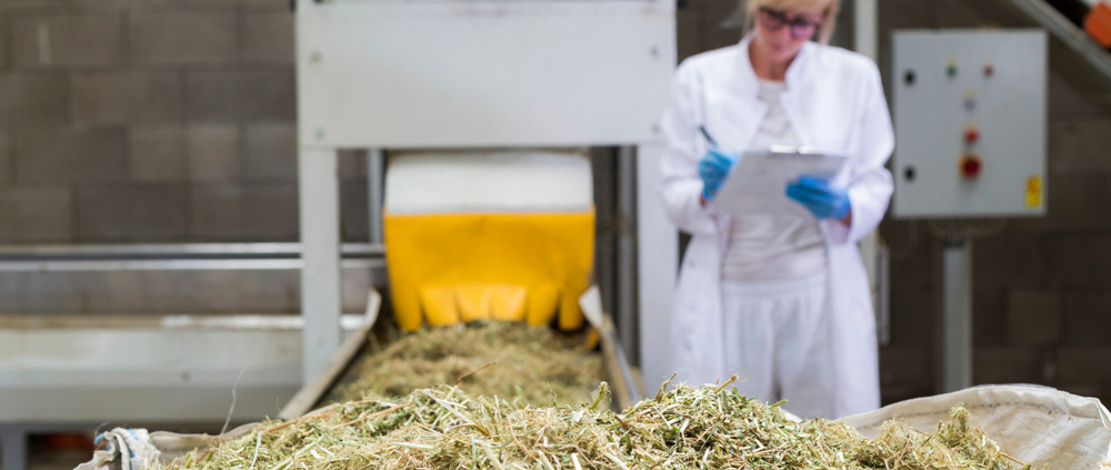The Guide to Industrial Hemp Processing Equipment