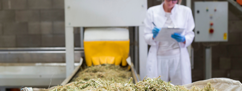 The Guide to Industrial Hemp Processing Equipment